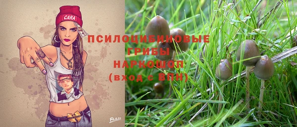 молекула духа Белоозёрский