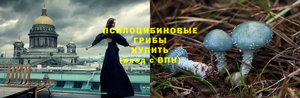 молекула духа Белоозёрский