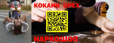 СК Дмитров