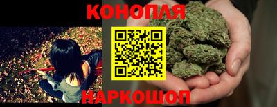 СК Дмитров
