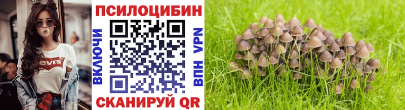 Псилоцибиновые грибы Psilocybine cubensis  Дагестанские Огни 