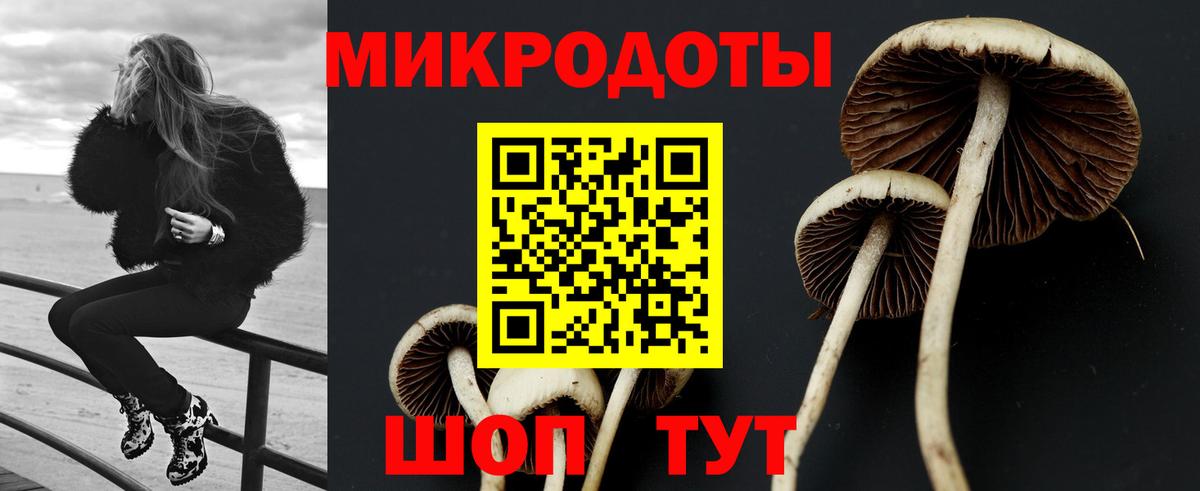 Псилоцибиновые грибы Psilocybine cubensis Дагестанские Огни